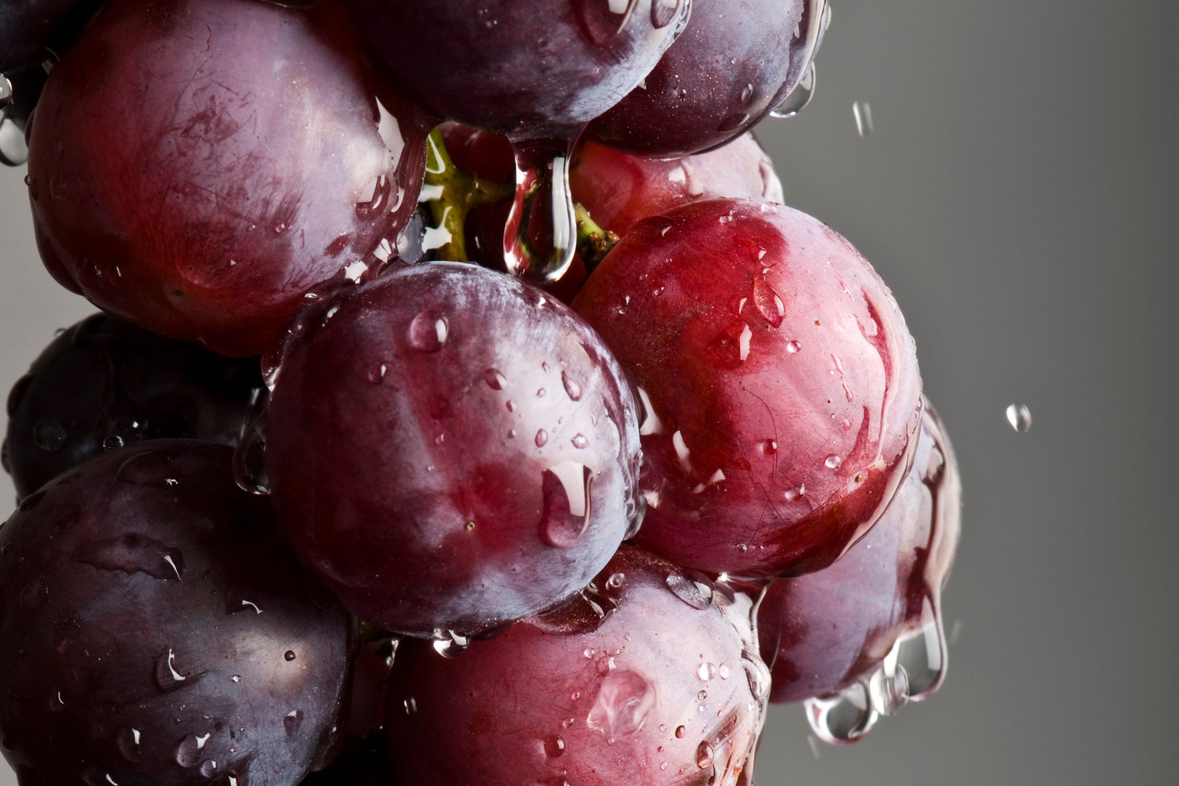 Les secrets du Pinot Noir
