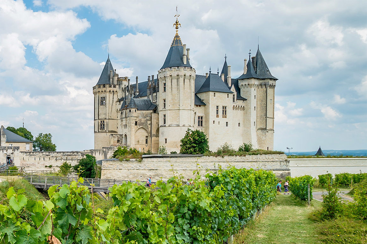 À la découverte du vignoble du Val de Loire