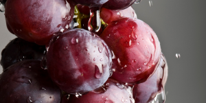 Les secrets du Pinot Noir