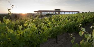 Dégustation verticale Quinta de Lemos